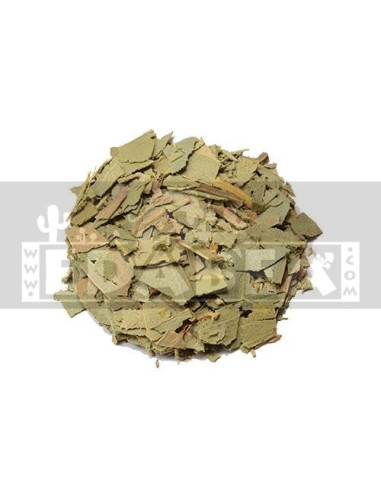 Eucalipto (Eucalyptus globulus) 100 gr.