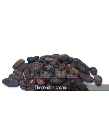 Grains de Theobroma Cacao 100 grs.