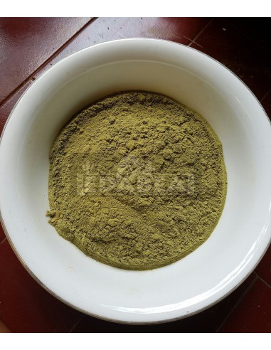 Borneo Kratom Weiße Ader Jongkong