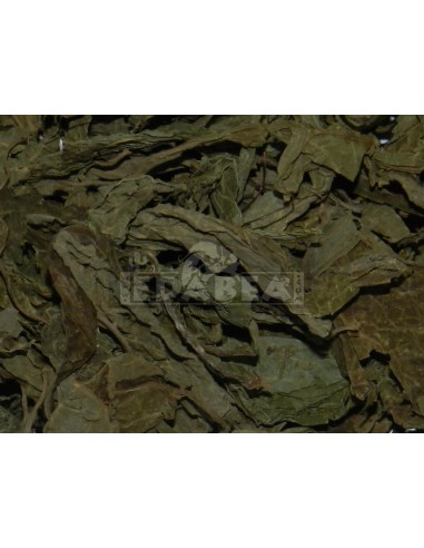 Salvia foglie secche 10 g