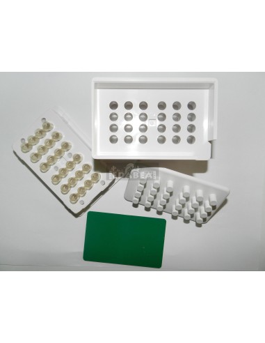 Encapsulation machine 500 mg