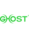 Geist